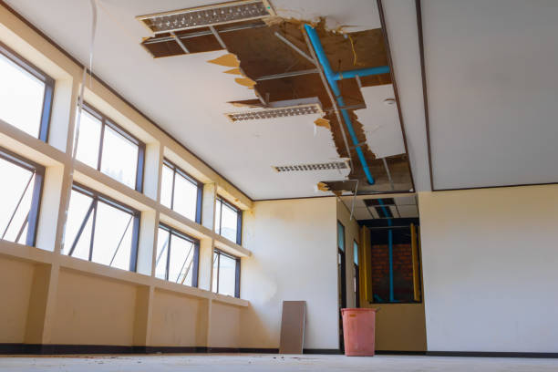 Best Commercial water damage restoration  in Washington, MO