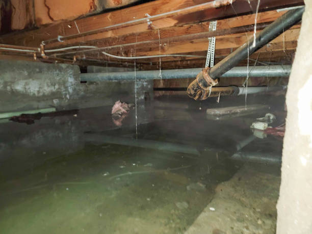 Best Residential water damage restoration  in Washington, MO