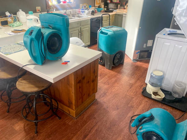 Best Water damage restoration near me  in Washington, MO