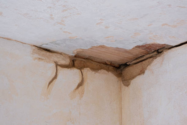 Best Water damage contractors near me  in Washington, MO