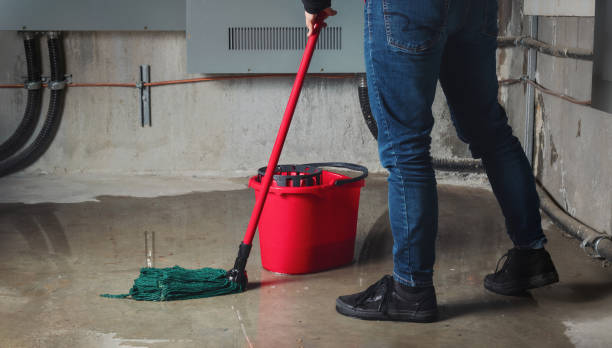 Best Water damage restoration near me  in Washington, MO