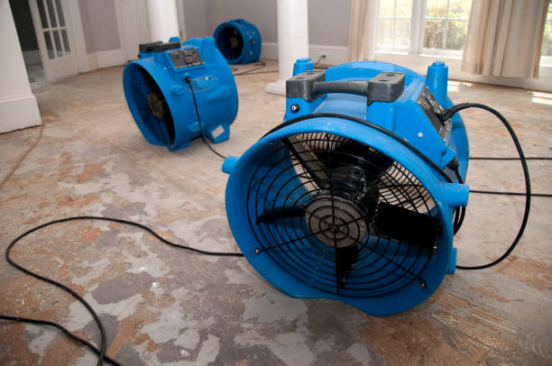 Best Local water damage restoration  in Washington, MO