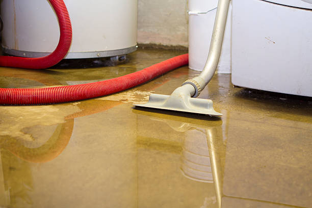  Washington, MO Water damage restoration Pros
