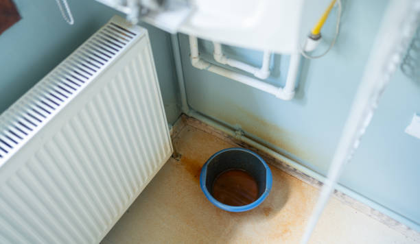 Best Flood restoration services  in Washington, MO