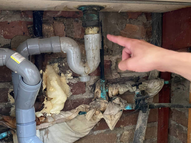Best Flooded house restoration  in Washington, MO