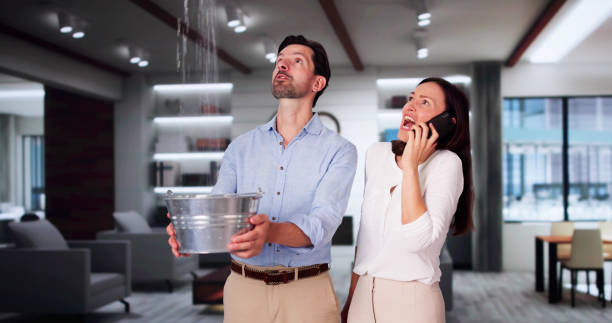 Best Mold removal after water damage  in Washington, MO