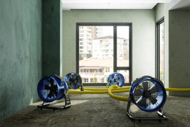Best Professional water damage repair  in Washington, MO